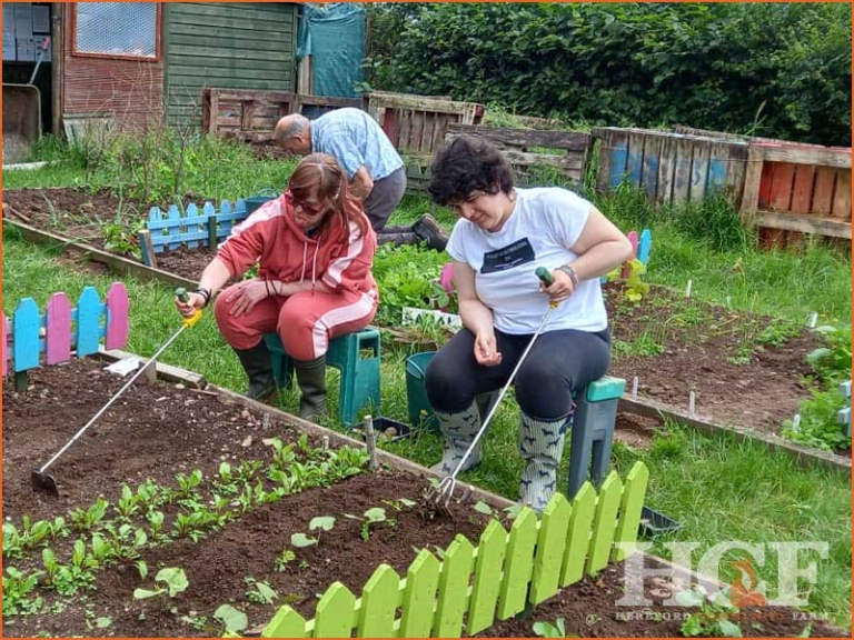 Day Activities – Hereford Community Farm